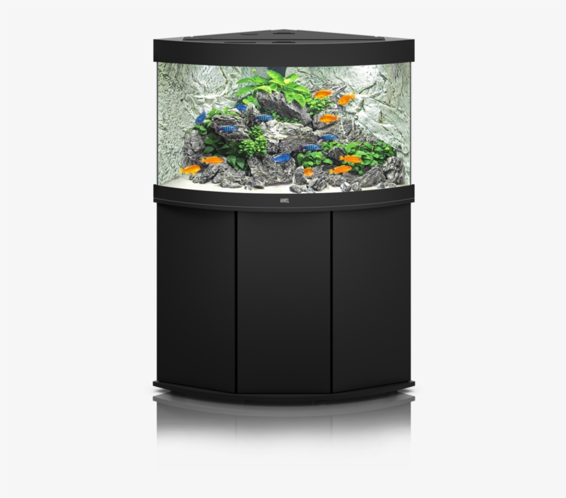 Trigon Line - Juwel Aquarium, transparent png