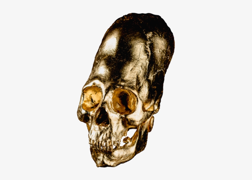 Alien Skull No - Skull, transparent png