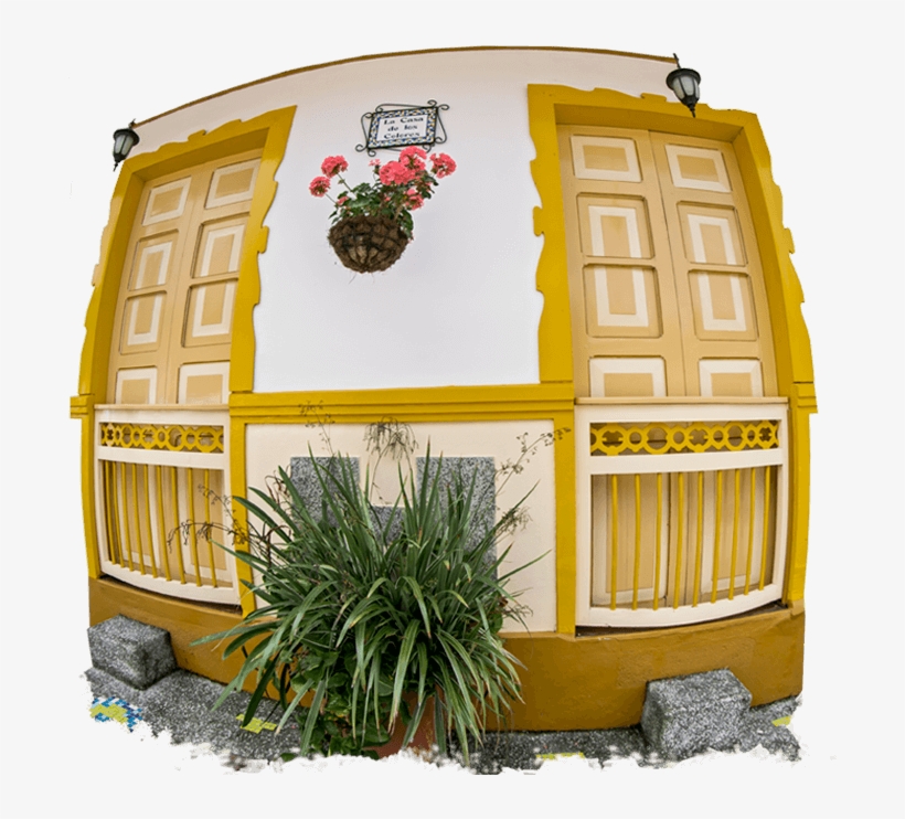 Peace Tour, Tour De Cafe, Coffee Tour, Para Hacer En - Snow, transparent png