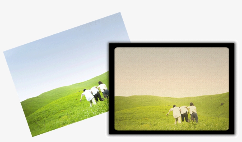 Picture Filters, Powerpoint Style - Grazing, transparent png