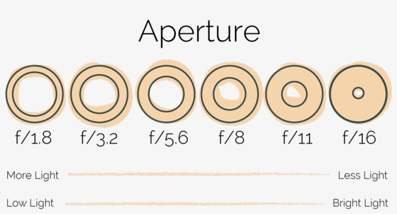 So, If You Are In A Bright Light Situation And Already - Circle, transparent png