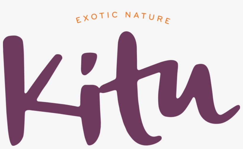 Kitu Morado - Graphic Design, transparent png