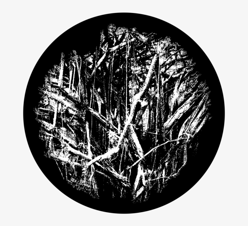 Tree Roots - Apollo Design 0248 Tree Roots B&w Superresolution, transparent png
