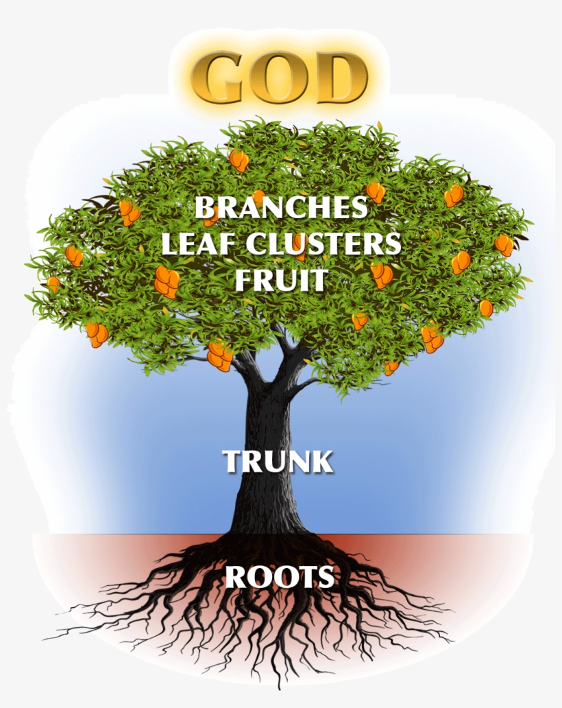 The Love Of Christ To Family And Friends From Accra, - Get Rid Of That Root And Live [book], transparent png