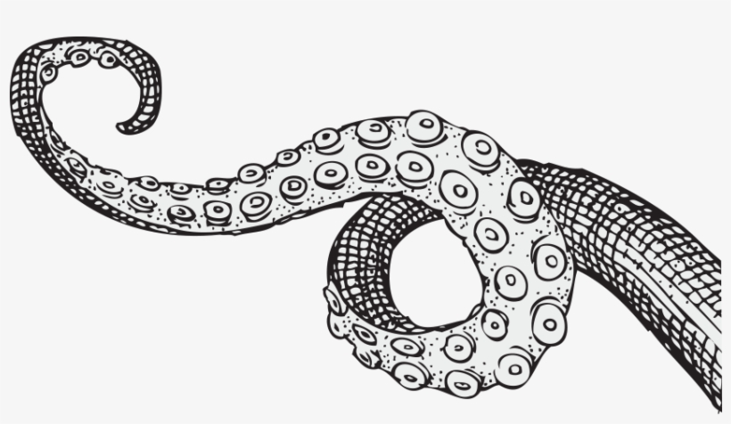 Tentacle - Tentacles Drawing, transparent png