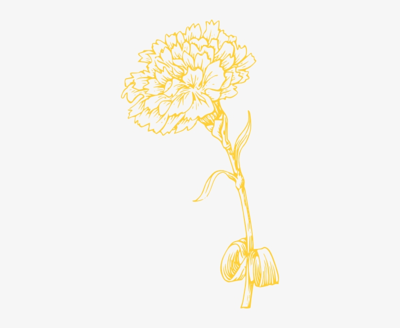 Yellow Carnation Svg Clip Arts 324 X 592 Px, transparent png