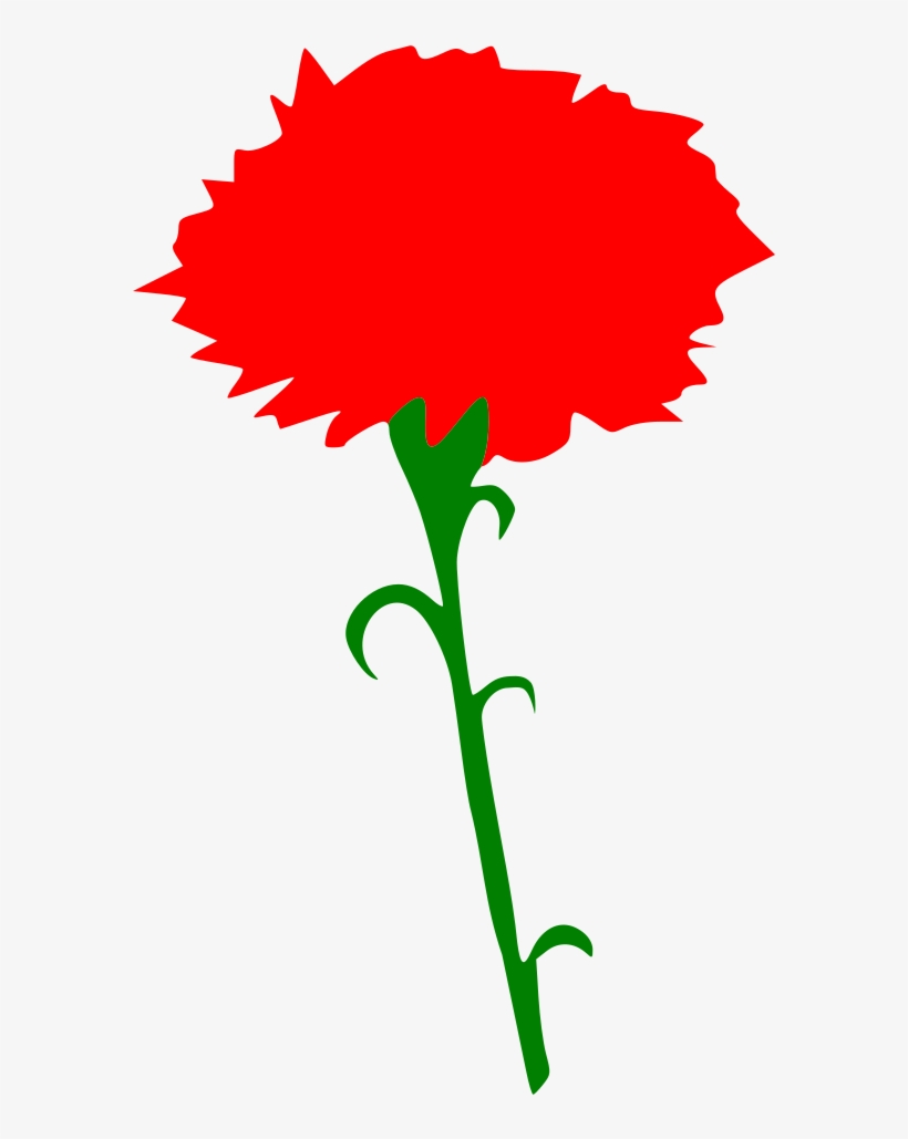 International Working Women's Day - Red Carnation Clip Art, transparent png