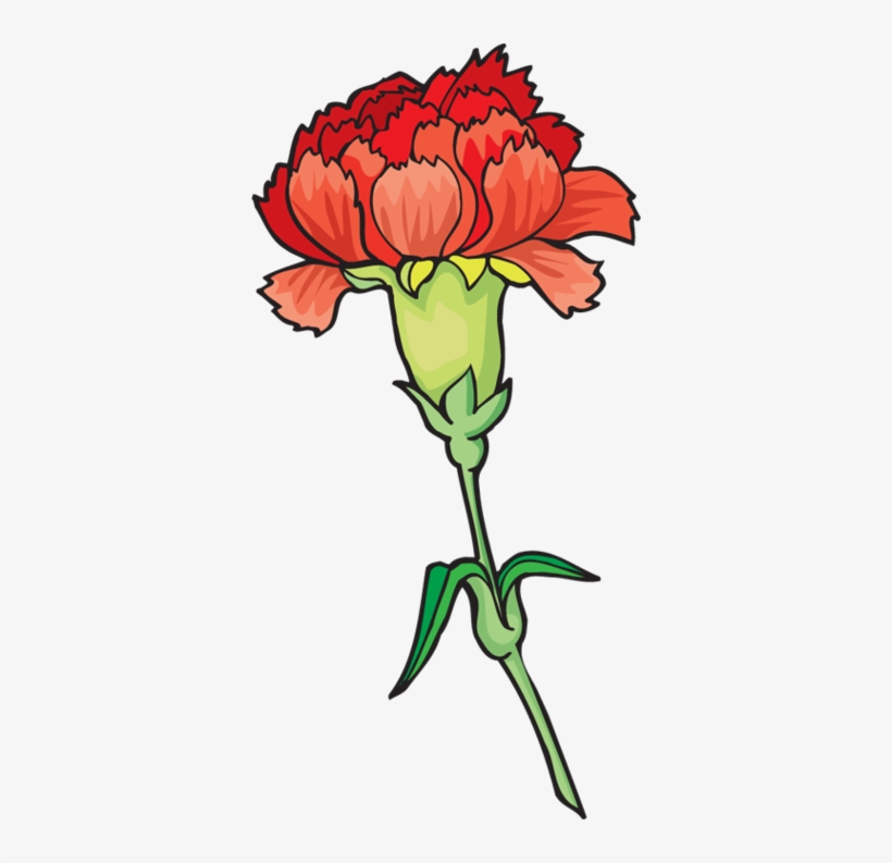 Carnation Flower Clipart - Carnation Clipart, transparent png