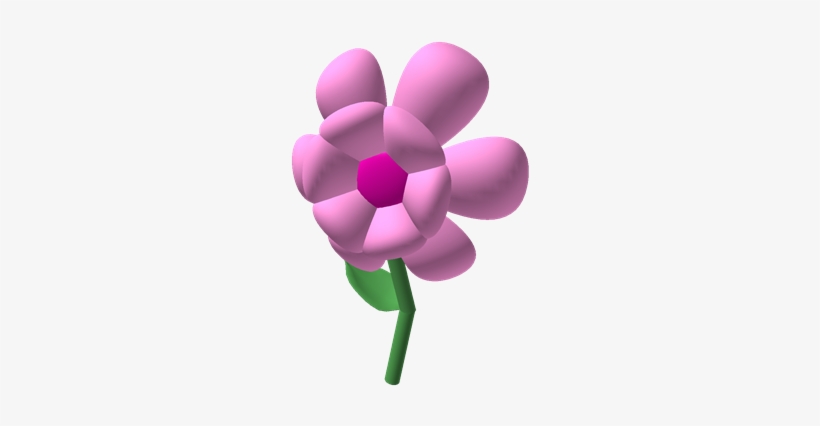 Pink Carnation - Cut Flowers, transparent png