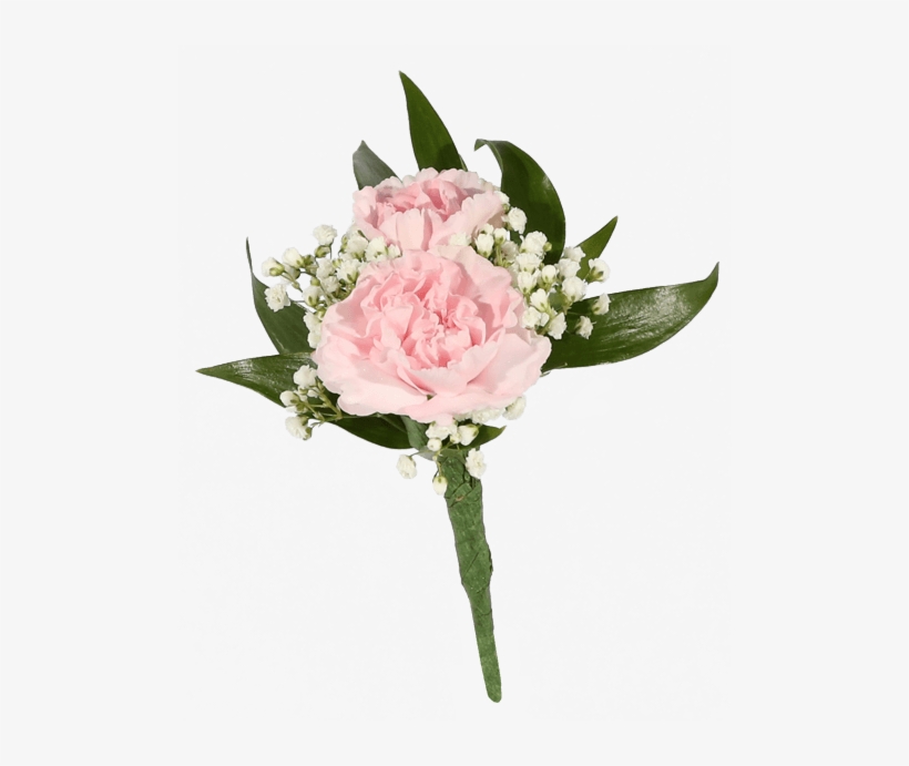 Pink Mini Carnation Boutonniere - Carnation Boutonniere, transparent png