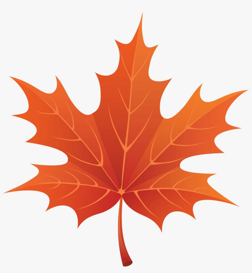 Download Png Image Maple Png Leaf - Leaf Clipart, transparent png