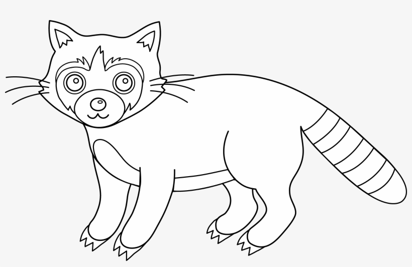 Free Clip Art - Raccoon Coloring Pgs, transparent png