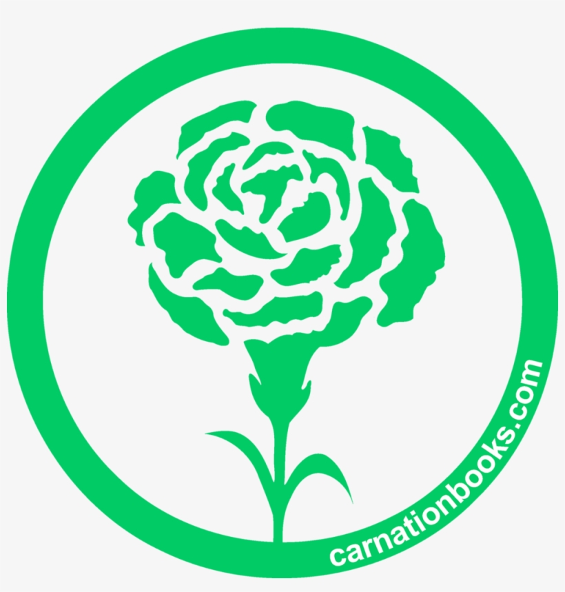 Carnation Png, transparent png