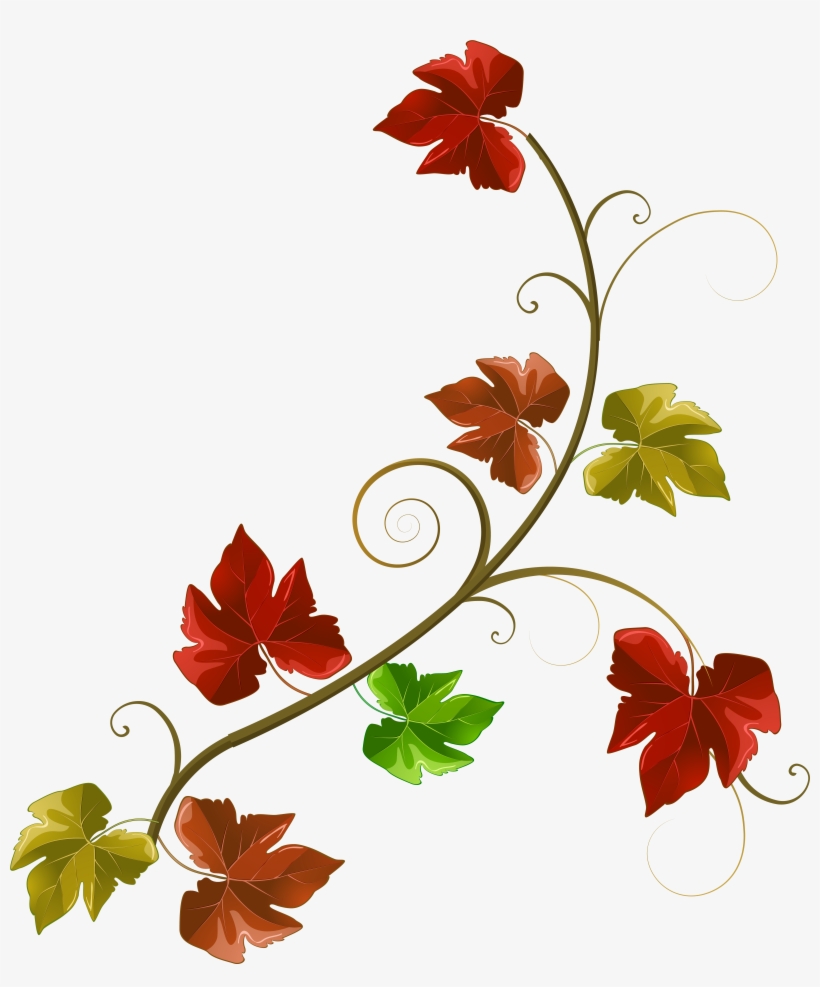Fall Leaves Border Png, transparent png