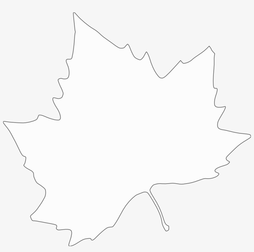 Autumn Borders Black And White Clipart - Clip Art, transparent png