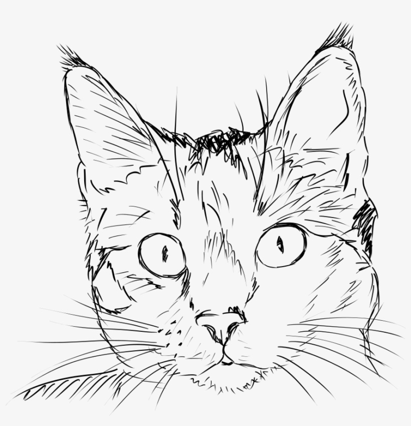 How To Set Use Cat Face Clipart, transparent png