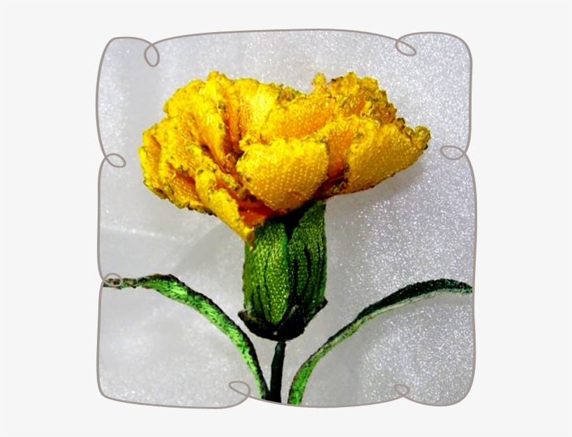 Yellow Carnation - Yellow, transparent png