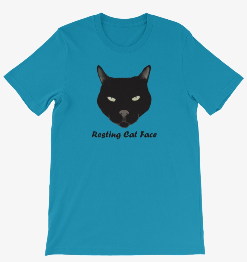 Resting Cat Face T-shirt - Thou Shall Not Try Me Mood 24 7, transparent png