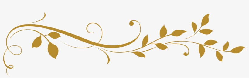 Site Image - Flower Divider, transparent png