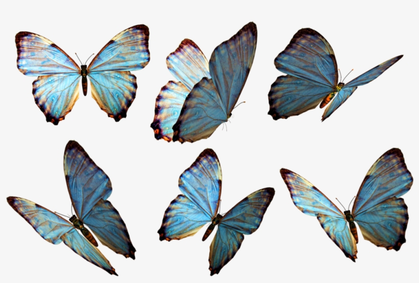 Photoshop Clipart Beautiful Butterfly - Flying Butterfly Png, transparent png