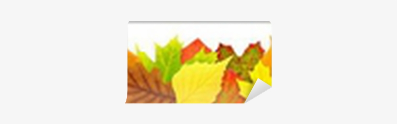 Colorful Autumn Leaves Border Isolated On White Wall - Buntes Herbst-blätter Magnet, transparent png