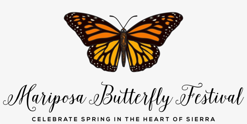 Scientific American Mariposa Butterfly Festival - Nobody Told Me What Beautiful Looked Like, transparent png
