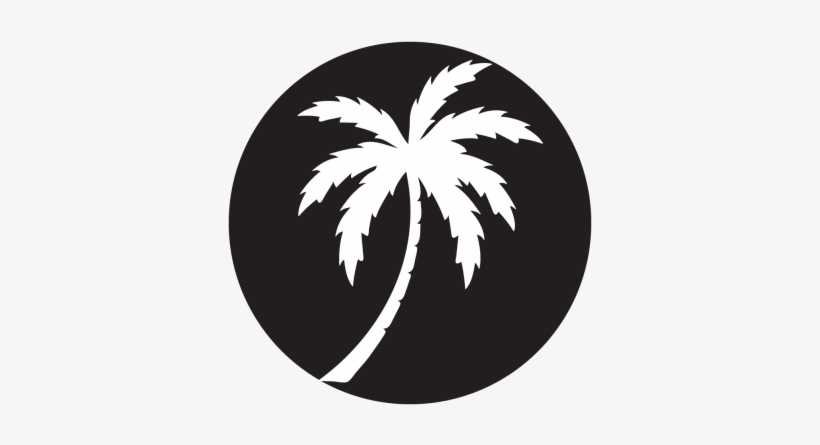 Palm Silhouette Projected Image - Palm Tree Transparent Silhouette, transparent png