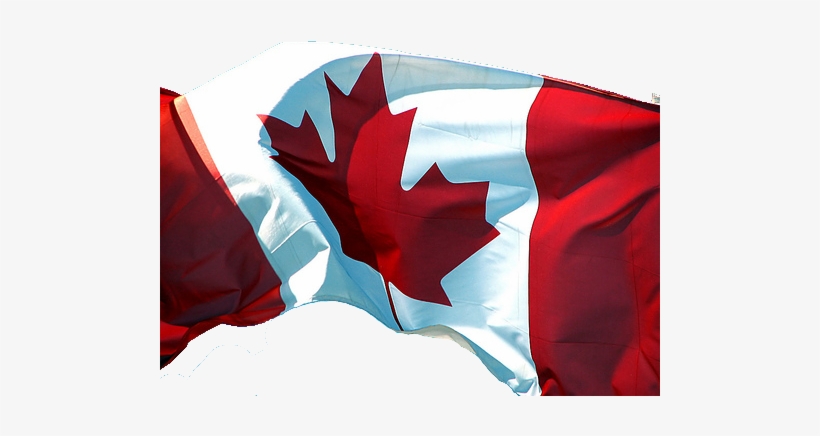 Canadian Flag - Canadian Flag Png File, transparent png