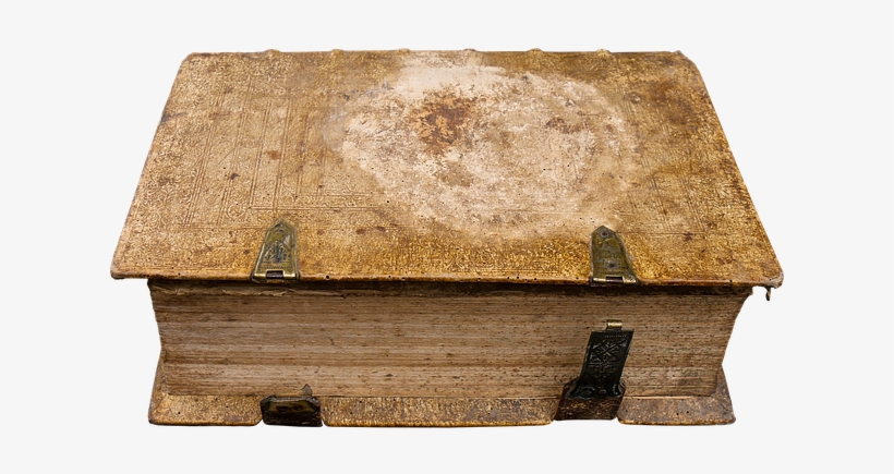 School, Education, Book, Read, Literature, Isolated - Salamanca, transparent png