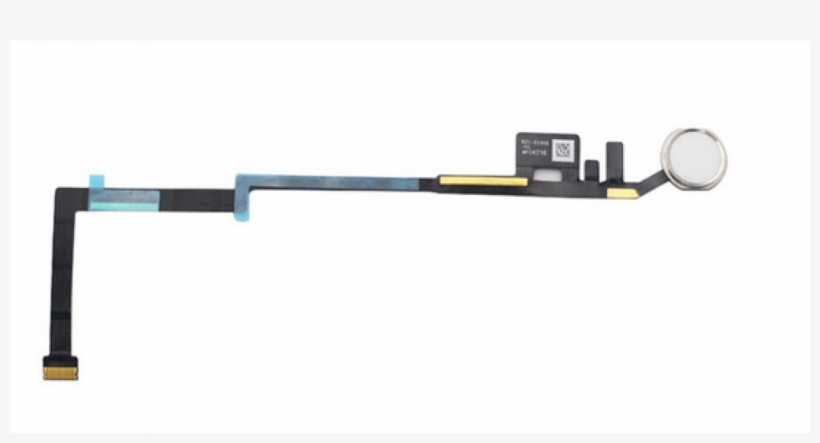 String Festoon Lights, transparent png