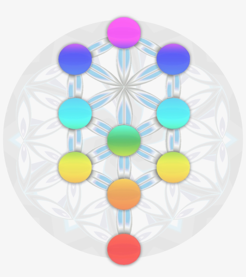 A Sacred Geometry Experience - Circle, transparent png