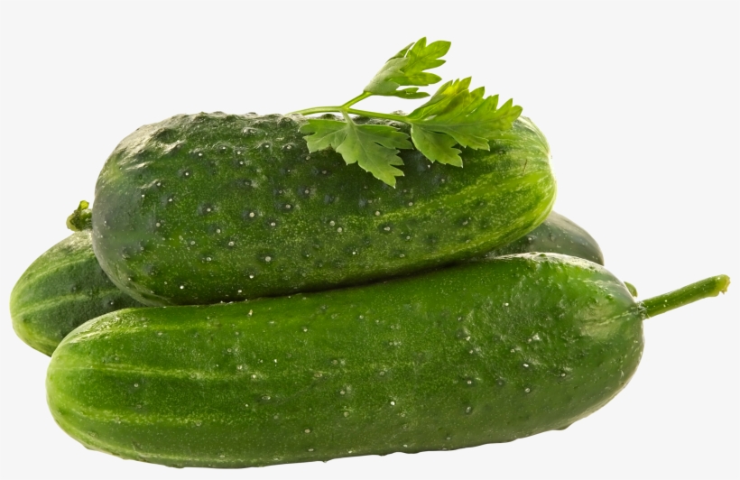 Cucumbers Png - Behaviour Driven Framework, transparent png