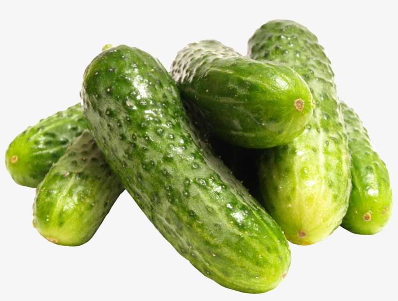 Cucumber Png, transparent png