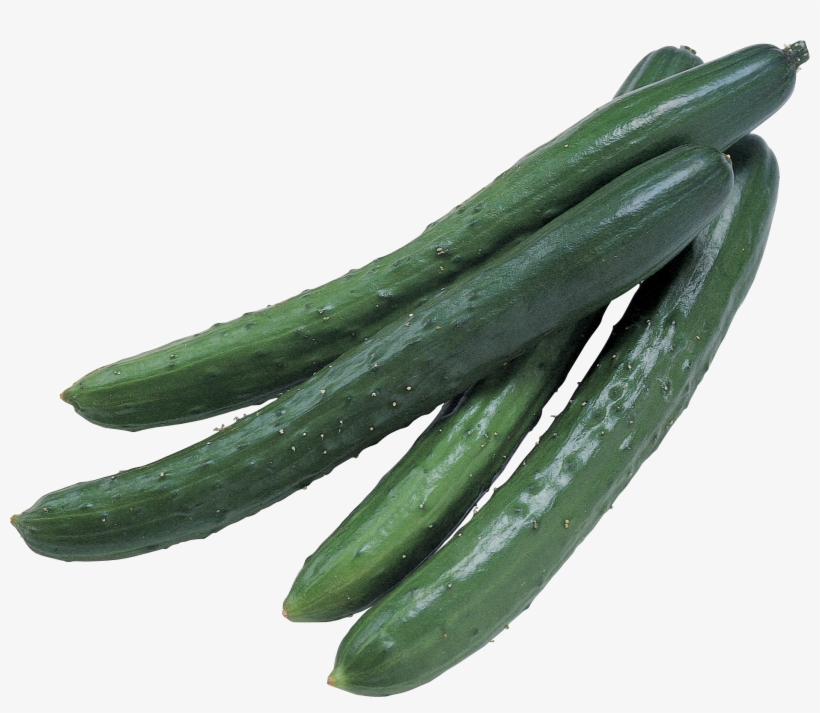 Cucumber - Cucumbers Png, transparent png
