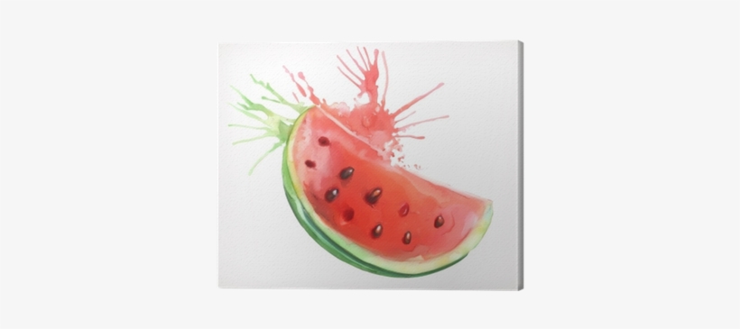 Watercolor Painting, Watermelon, Vector Illustration, - Wassermelone Watercolor, transparent png