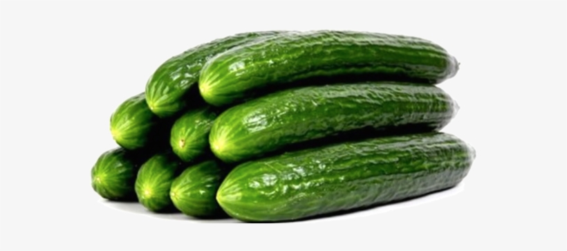 Veg Cucumbers Organic English Cucumber - European Cucumbers, transparent png