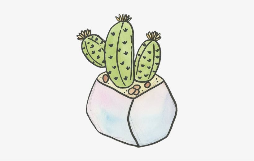 Watercolor - Barbary Fig, transparent png