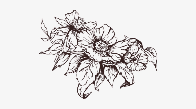 Arrangement-divider - Chrysanths, transparent png