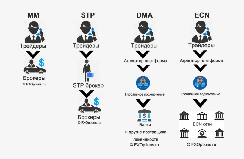 Logo/ - Graphic Design, transparent png