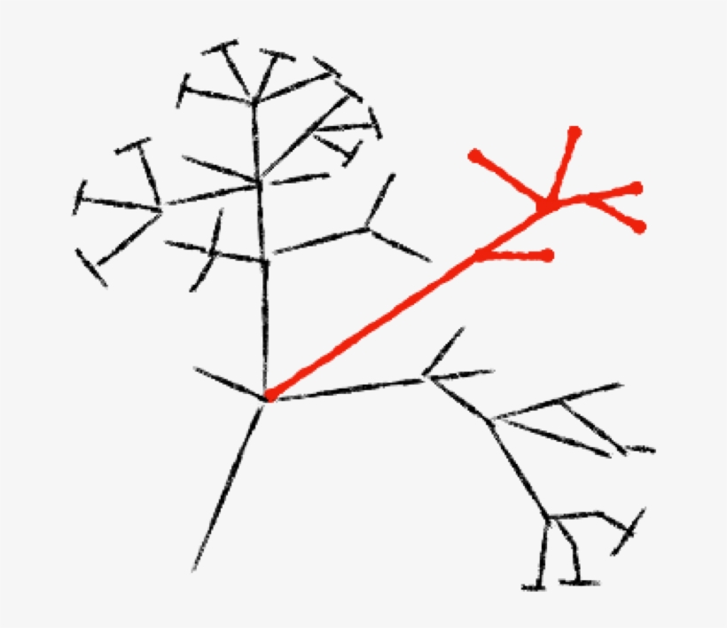 Darwins First Tree, transparent png