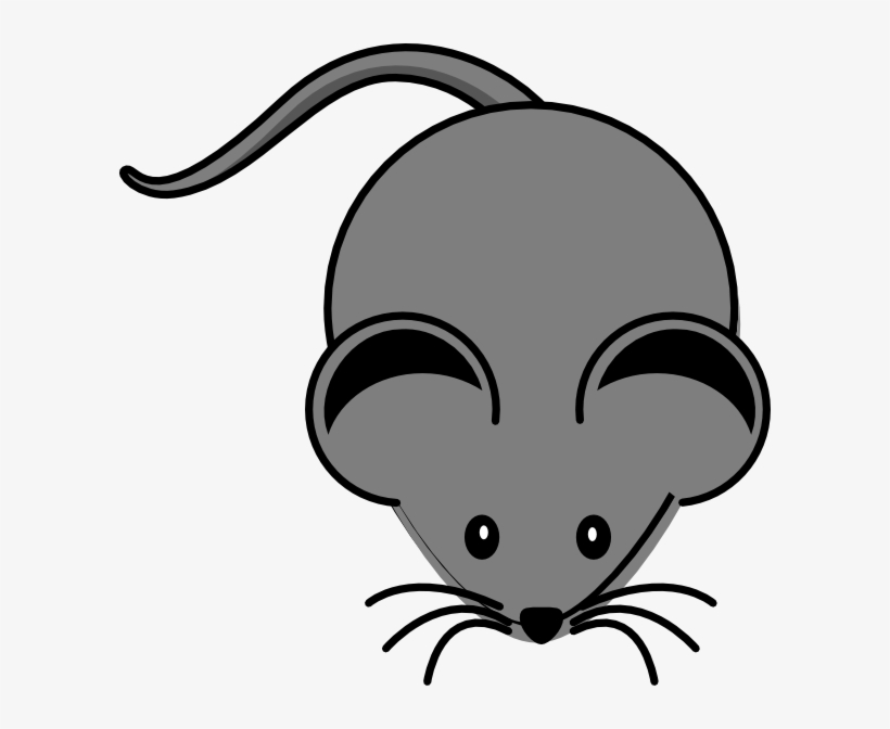 Mouse Png, transparent png