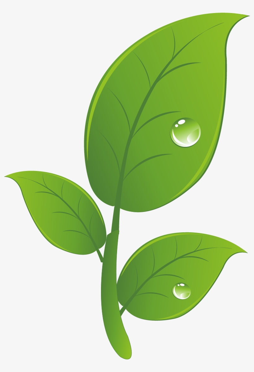 Hacked Android Clip Art - Leaf, transparent png