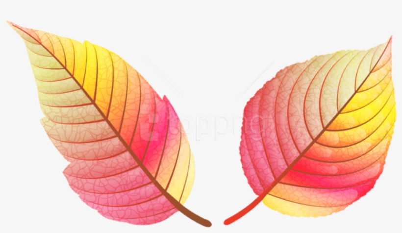 Free Png Download Colorful Fall Leaves Clipart Png - Colored Fall Leaves Png, transparent png