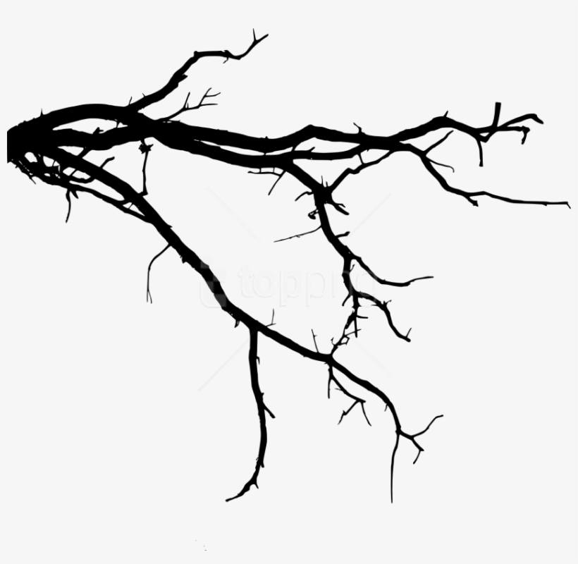 Free Png Tree Branch Png - Tree Branch Silhouette, transparent png