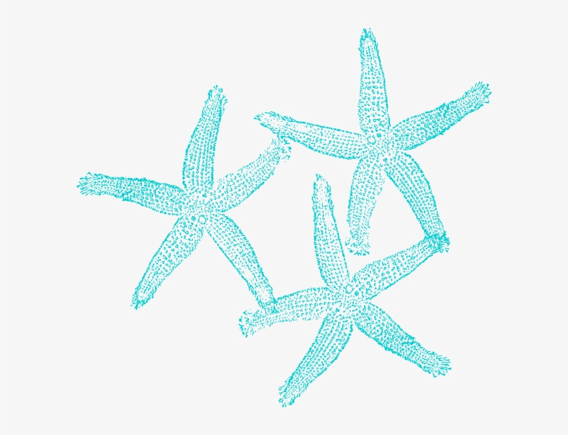 Starfish Clip Art At Clker - Coral Clipart Transparent Background, transparent png