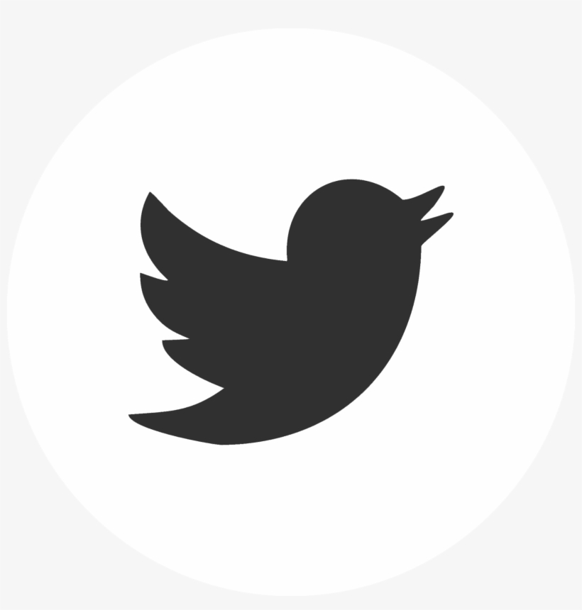 Twitter - Twitter Circle Logo White, transparent png