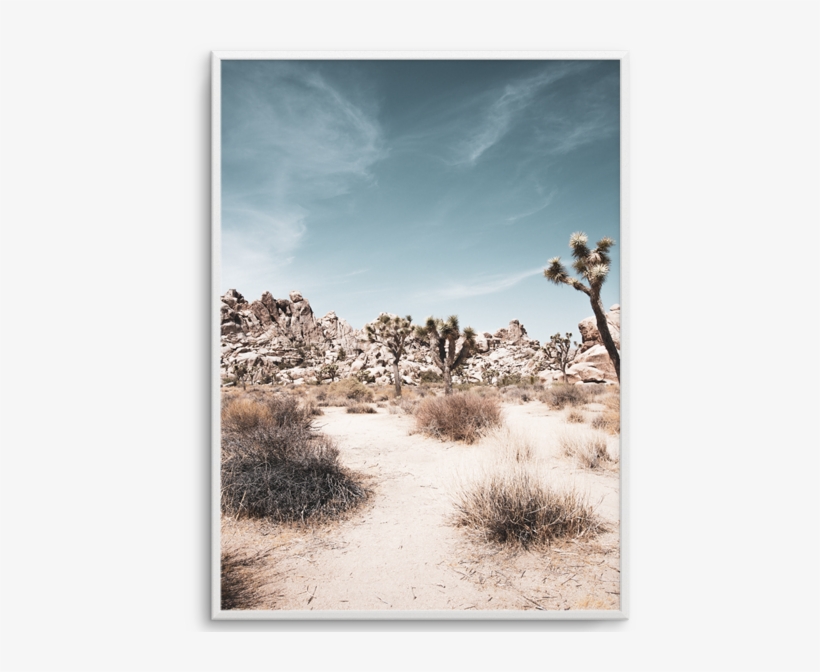 Joshua Tree - Picture Frame, transparent png