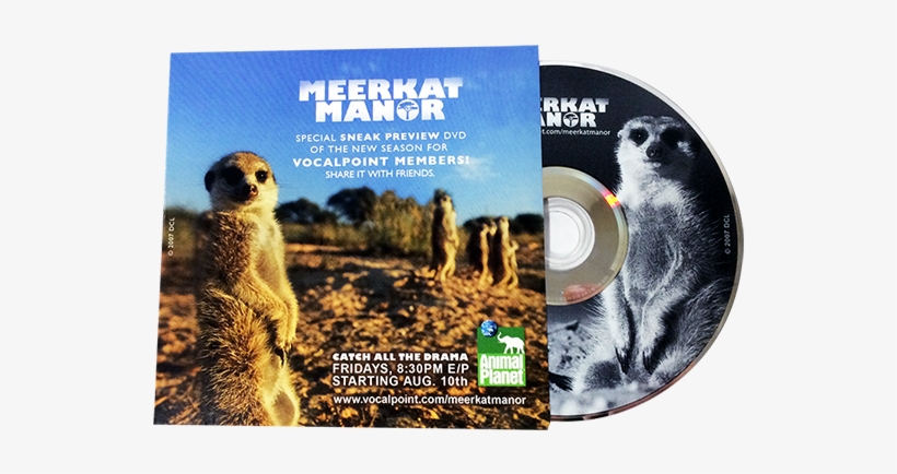 Blu-ray Eco Wallet 2 Panel - Meerkat Manor, transparent png