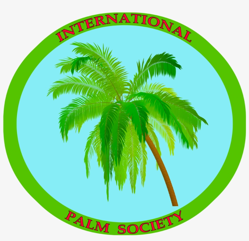 Blue1280-3 - Attalea Speciosa, transparent png