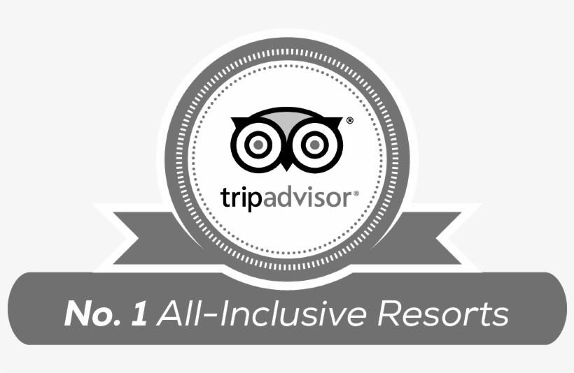 Chat - Trip Advisor, transparent png